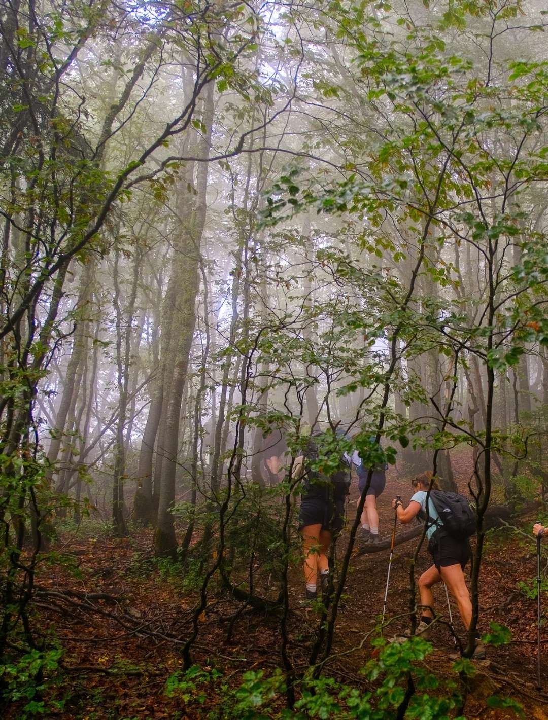 Peaks of the Balkans: The Balkan Trail